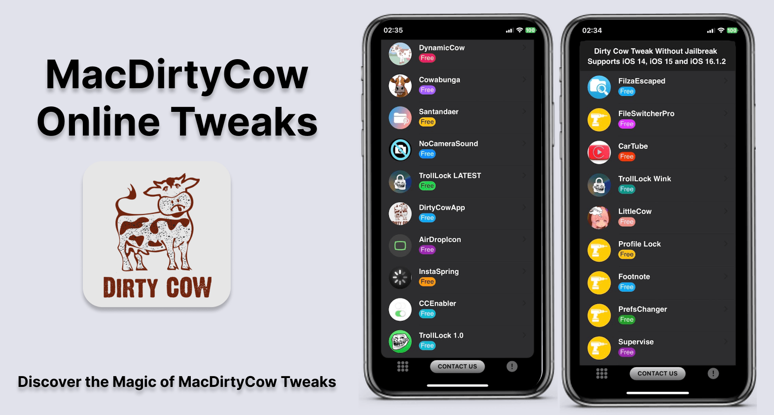 MacDirtyCow Tweaks